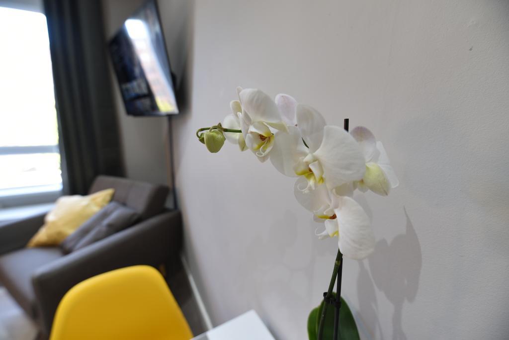 Meadowbank House Luxury Apartment EDI Eksteriør billede
